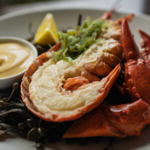 Kreeft Belle-Vue gegarneerd (+/-500 gr)